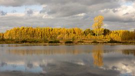 Autumn reflection by bart vialle