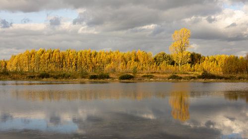 Réflexion d'automne