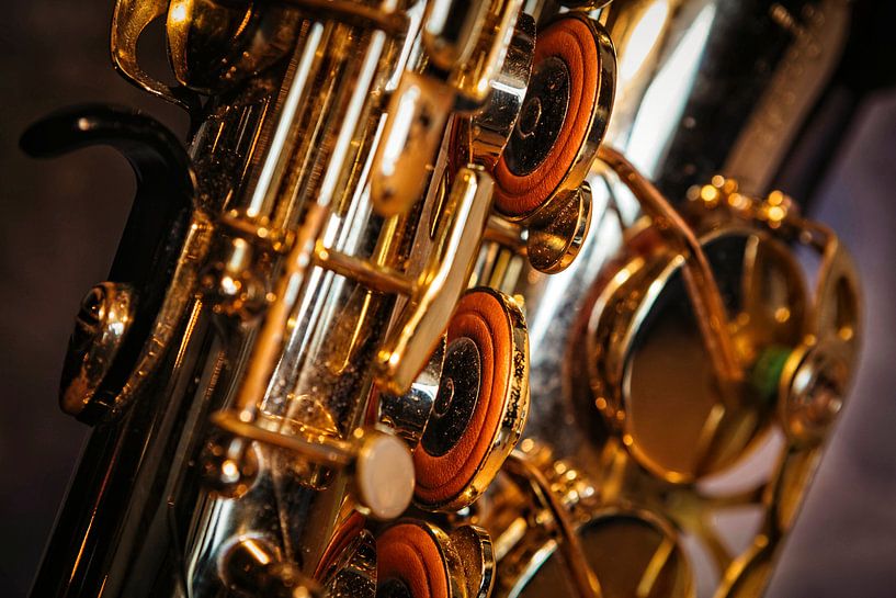 Saxophone par Rob Boon
