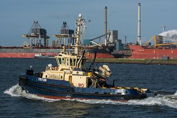 Sleepboot Triton met de bulkcarriers op de horizon. van scheepskijkerhavenfotografie