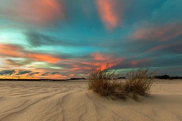 Dutch Desert sur Marc Smits