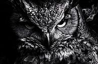 Mystical black-and-white owl portrait by Art & Soul Creations thumbnail