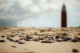 Muscheln vor dem Leuchtturm von Texel von Jan