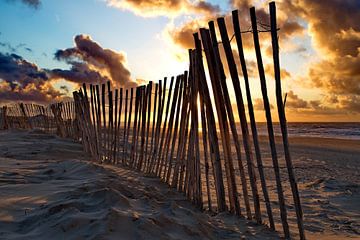 Beach fence on the beach