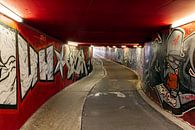 Fahrradtunnel Scharnerweg Maastricht von Evert Jan Luchies Miniaturansicht