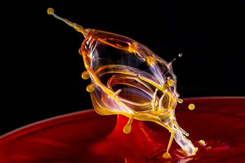 die wunderbare Welt der "Splash-Fotografie"....