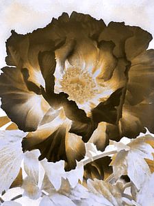 Blume in erdigem Ocker