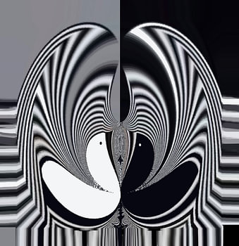 Birds - Black and White Abstract