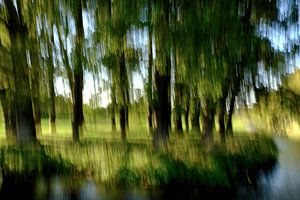 Bomen in beweging (ICM) van Carla van Zomeren