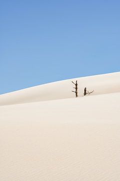 De schoonheid van vergankelijkheid in Zeeland van Claire van Dun