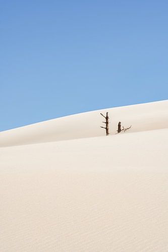 The beauty of transience in Zeeland by Claire van Dun