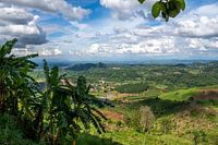Doi Mae Salong, Provinz Chiang Rai im Norden Thailands