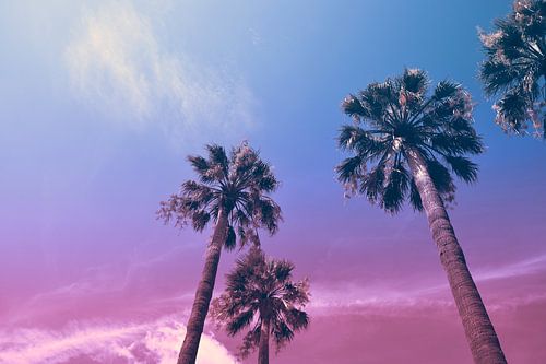 Summerfeeling