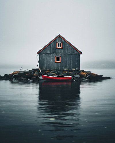 Mystical atmosphere in the morning mist