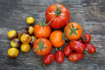 Stillleben mit Tomaten von Karina Baumgart