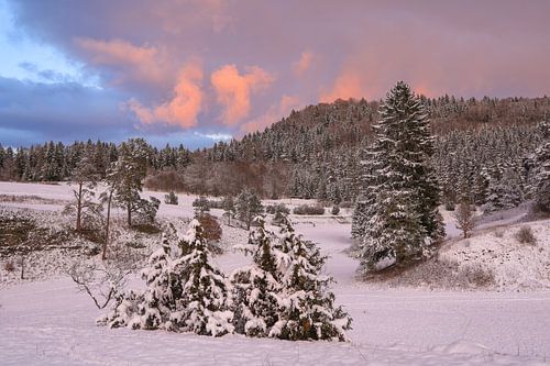 Winterlandschap bij Bergsteig in het avondlicht - Natuurpark Opper-Donau