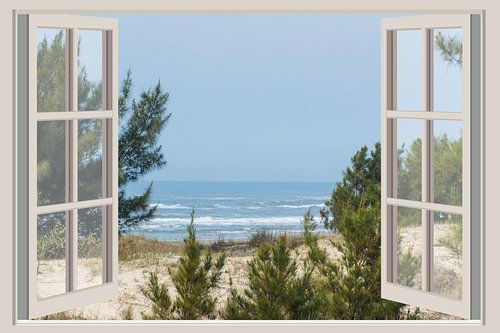 Beach and dune hotel 1