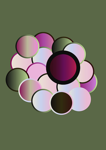 Botanical Bubbly Nexus