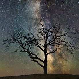 Galaxie sur Ruud de Soet