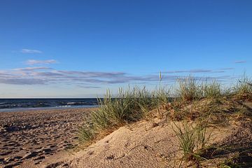 Nach dem Regen von Ostsee Bilder