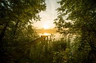 Landschap, zonsopkomst bij steiger in het bos van Marcel Kerdijk thumbnail