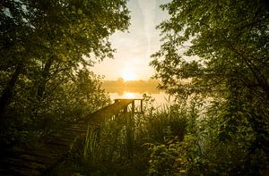 Landschap, zonsopkomst bij steiger in het bos van Marcel Kerdijk