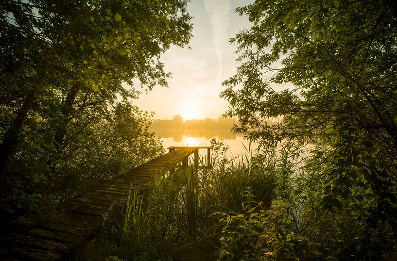 Landschap, zonsopkomst bij steiger in het bos van Marcel Kerdijk