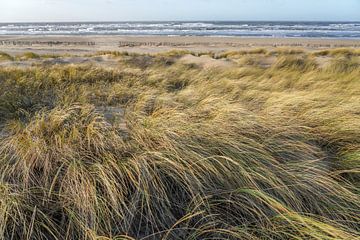 Duin, strand en zee aan de Hollandse kust