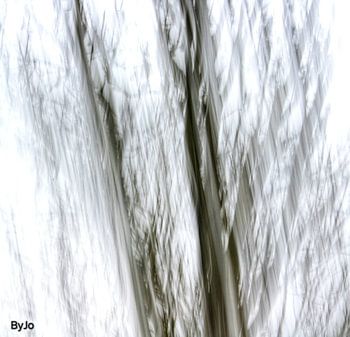 Serie "by the river"