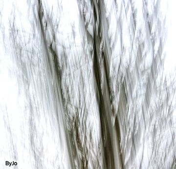 Serie "by the river" von Joke Van der Klooster