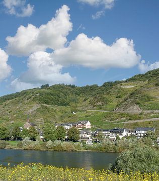 Wine village Valwig at the Mosel by Peter Eckert