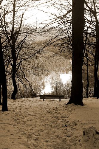 Bankje in de sneeuw
