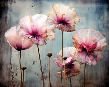 Grunge Poppies by Jacky