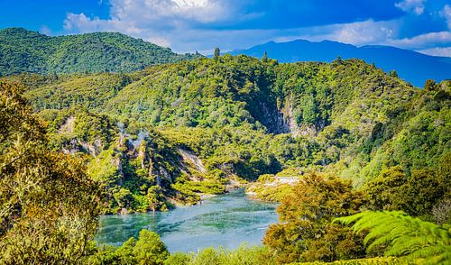 Lake in the Waimangu thermal valley, New Zealand sur Rietje Bulthuis
