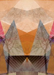 P22-D TREES AND TRIANGLES