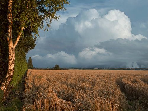 Sibbe, Maastrichterweg richting Margraten van Flachsfotografie