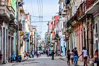 streets of Havana Cuba by Sabrina Varao Carreiro thumbnail