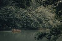 Kyoto Nature