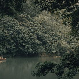 Kyoto Natur von Maikel Schrama