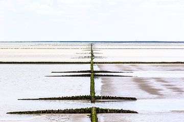 Wattenmeer von Apple Brenner