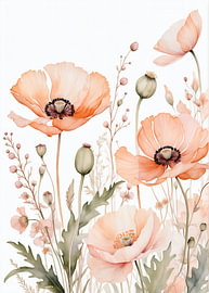 Fijne botanische aquarelillustratie van perzik- en papaverbloemen van hisam colours
