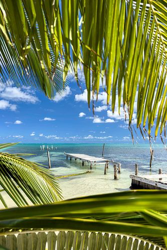 Caribische zomer