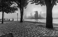 Foggy morning in Rotterdam