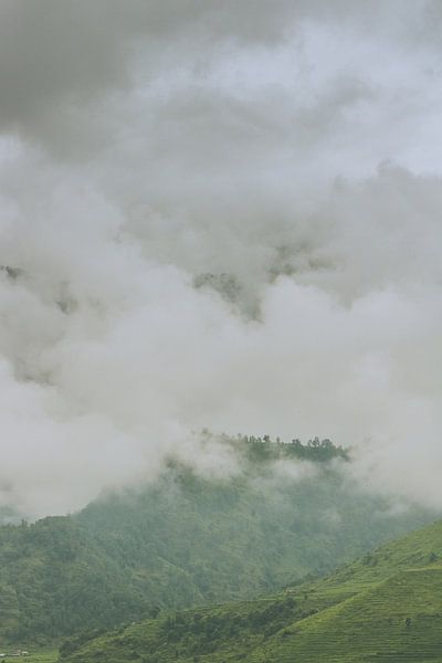 Green mountains between the mountains by Maarten Borsje