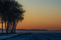 Magical winter landscape