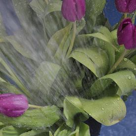 Bloemen water geven van Maurits Eykman