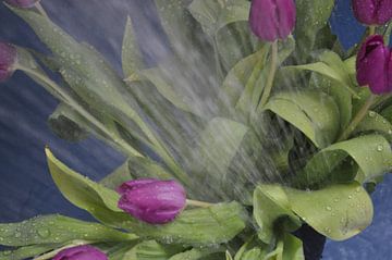 Bloemen water geven van Maurits Eykman