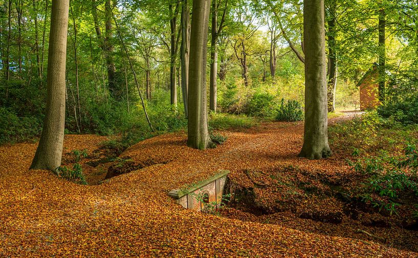 Herbst Teppich von Ria Overbeeke