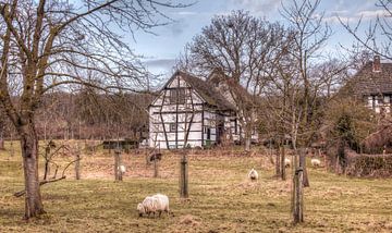 Vakwerkhuisje in Mechelen Zuid-Limburg by John Kreukniet