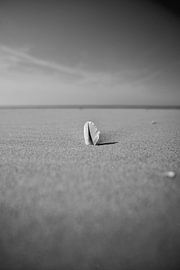 Lonely spring by Laura Krol